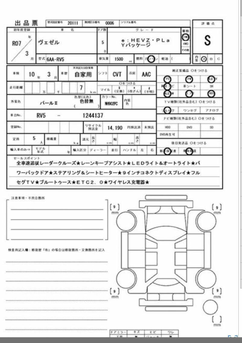 Option Certificate